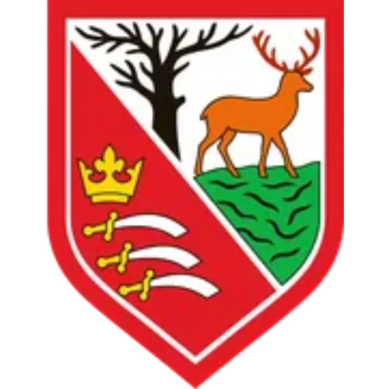 Hayes Football Club