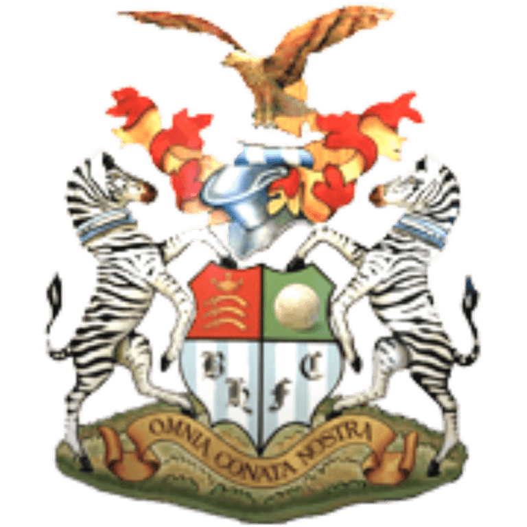Brook House Football Club