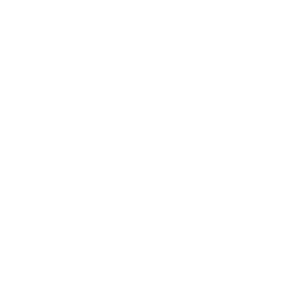 Sheffield Wednesday badge