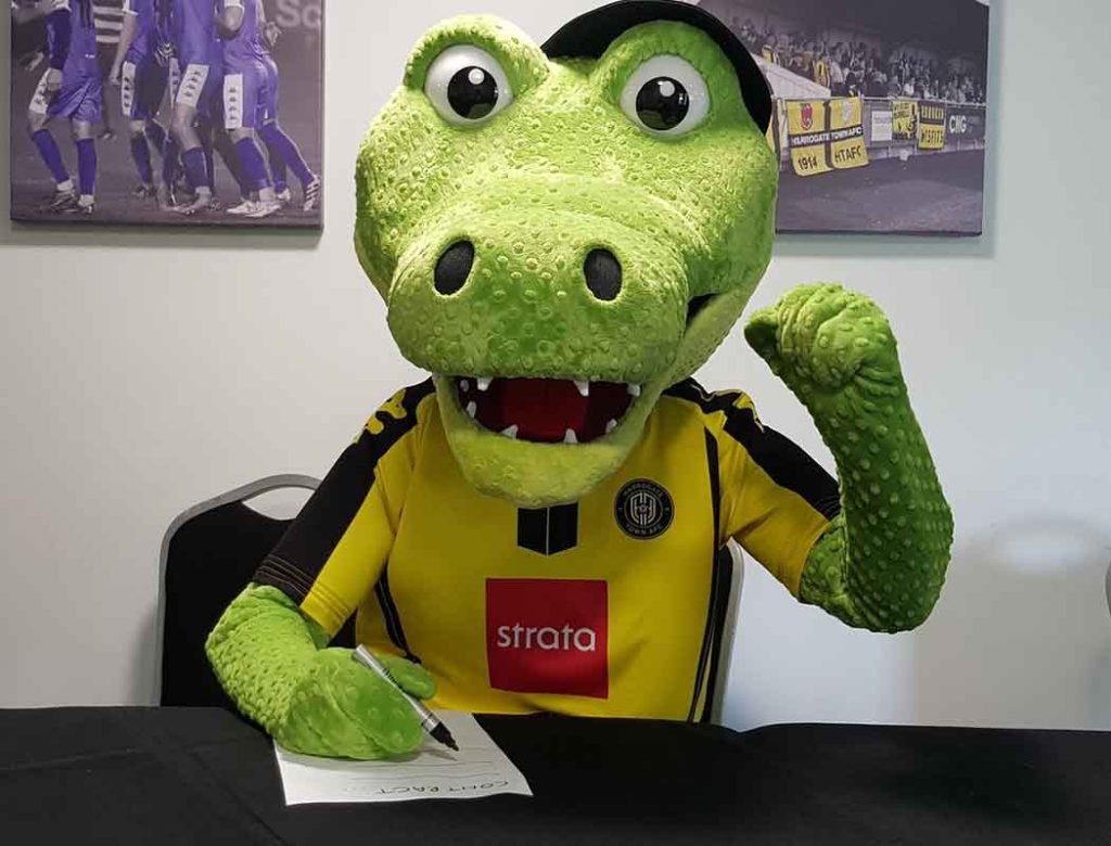 Harrogate Town v Stevenage: With goals and points in short supply right now, the signs suggest that Boro' are in for a hard time at the EnviroVent Stadium