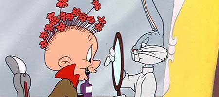 Notts County v Stevenage: Rabbit Of Seville